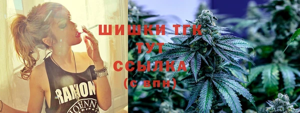 твердый Нягань