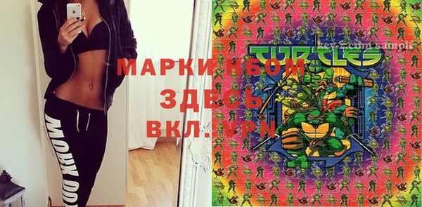 твердый Нягань