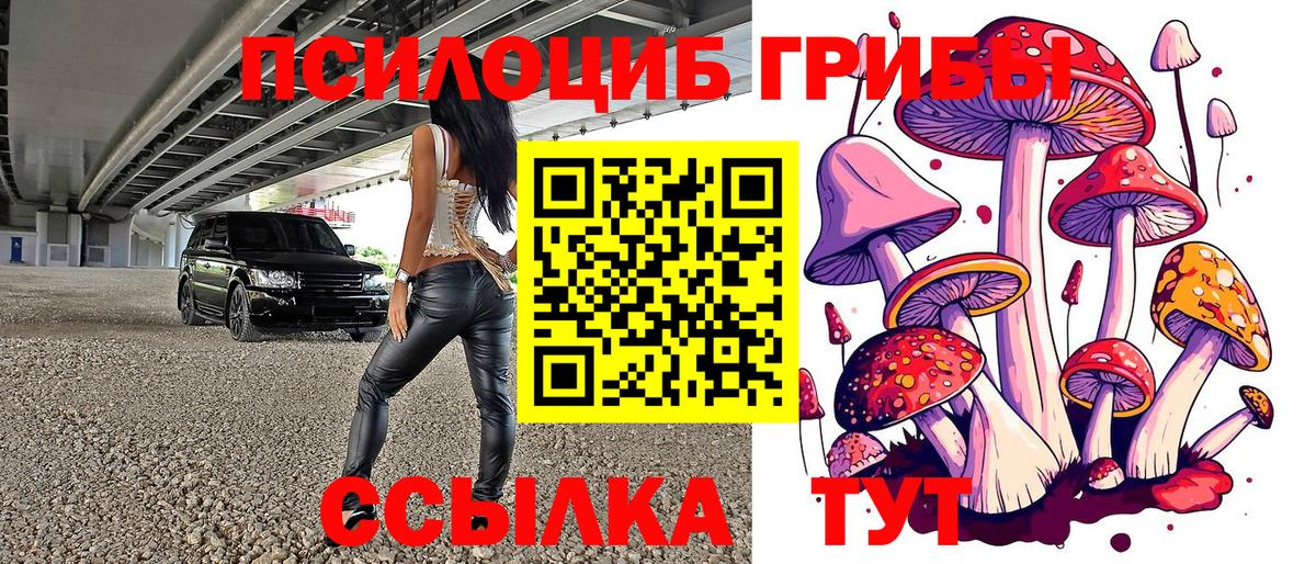 Псилоцибиновые грибы ЛСД  наркота  Волоколамск 