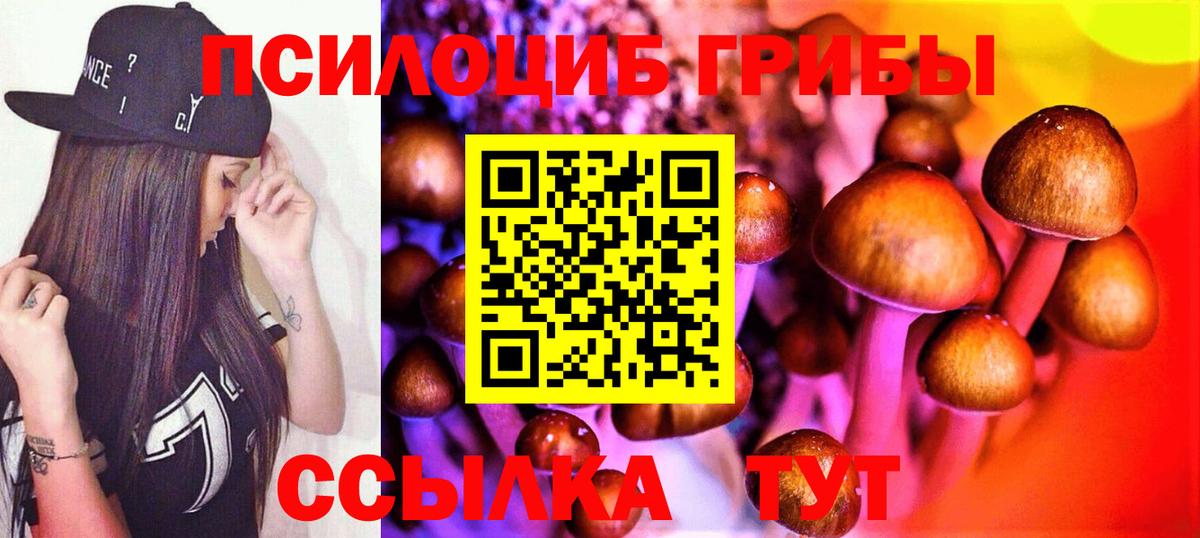 Галлюциногенные грибы мицелий  Вход с VPN  Псилоцибиновые грибы Psilocybine cubensis  Волоколамск 